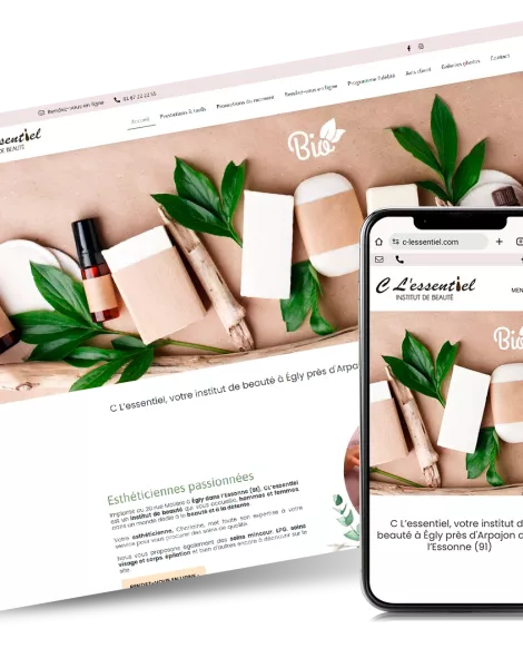 C L’essentiel